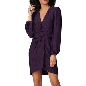 Saylor Purple Sparkle Dress Women’s Small